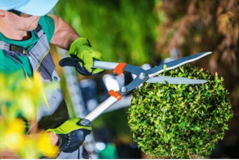 r&eacute;nover des parcs et jardins