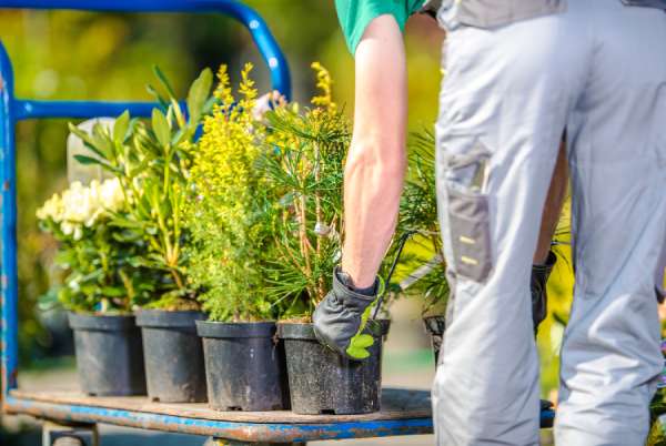 planter jardin belgique